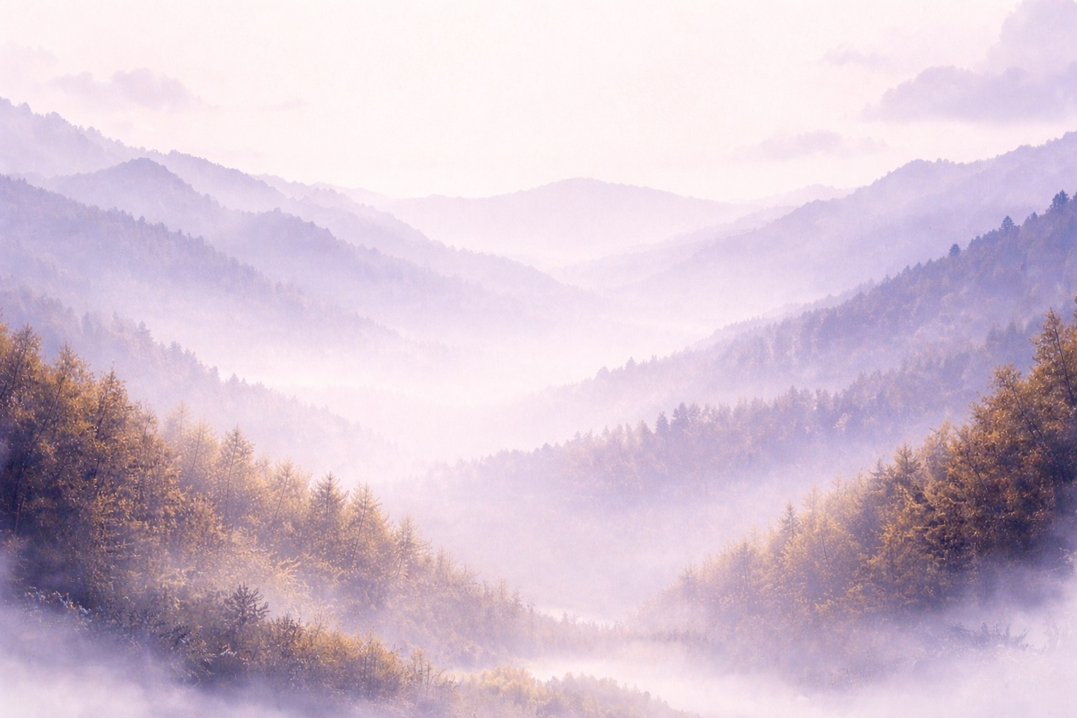 bc21654e ea17 47f0 98eb 0a05f50179d2